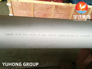 A norma ASTM A312 TP304, EN1.4301, UNS S30400 Tubos sem costura de aço inoxidável
