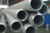 Tubo de caldeira sem emenda de aço inoxidável recozido conservado/brilhante ASME de /Steel do tubo SA213 TP316/316L.