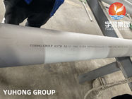 ASTM A312 UNS S31254 (6% Moly, 1,4547), 254MO, desenho frio e laminação, tubulação sem emenda inoxidável de Stel