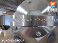 Deslizamento de DIN2573 ASTM A182 F316L em flanges forjadas de aço inoxidável das flanges