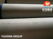 Tubo sem emenda de aço inoxidável 100% de ASTM A312 TP317L E de caldeira de UT tubo
