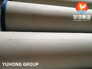 Tubo sem emenda de aço inoxidável 100% de ASTM A312 TP317L E de caldeira de UT tubo
