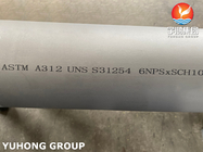 ASTM A312 tubulação S31254/254SMO sem emenda de aço inoxidável frente e verso de UNS