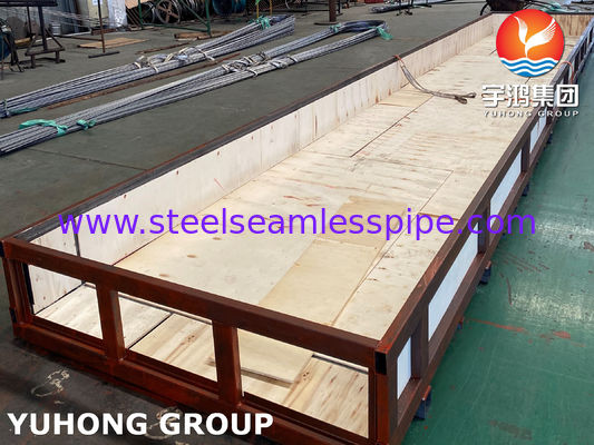 Tubo sem emenda de aço inoxidável da curvatura da caldeira U de ASTM A213/ASME SA213 TP321/TP321H/TP347H