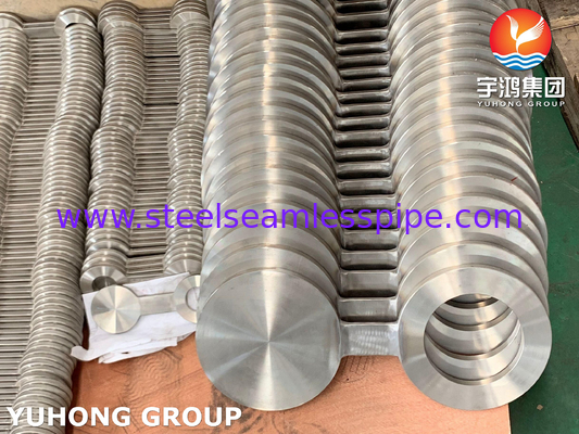 B16.48 ASTM A182 F316L Óculos de aço inoxidável, flange cego Figura-8