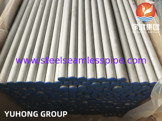 ASTM A213/ ASME SA213 TP317/ TP317L/TP317LMN Tubo sem costura de aço inoxidável