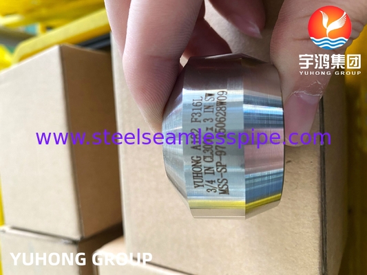 SS Weldolet A182 F316 / F316L Outlet Acero inoxidável