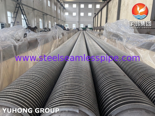ASTM A312 TP316L Tubo de pinça de aço inoxidável tipo HFW com pinça SS316l para economizador
