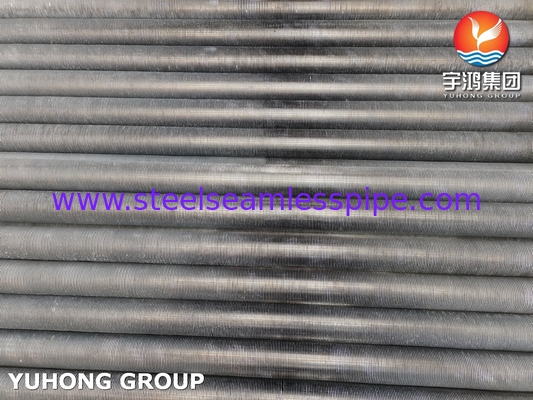ASTM269 TP304 TUBO SEAMLESS TUBE Tubos extrudidos de pinças de aço inoxidável para trocadores de calor