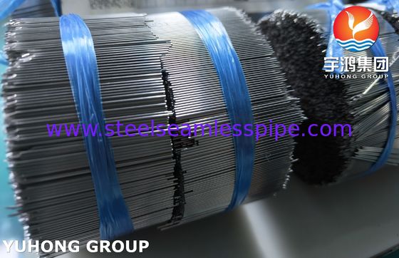 Agulha de Insulina SUS304, Tubo de Agulha para Injeção Subcutânea para Tratamento de Diabetes