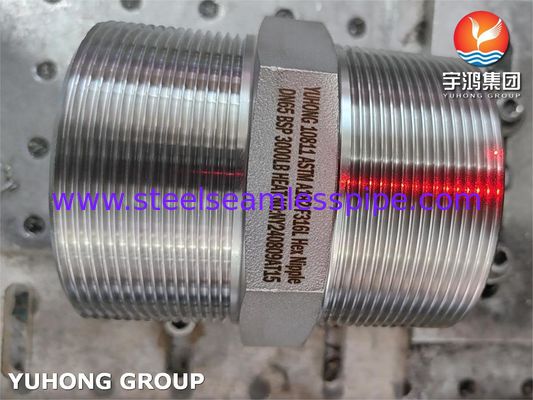 ASTM A182 F316L BSP Forja de pressão de mamilos hexadecimais da União