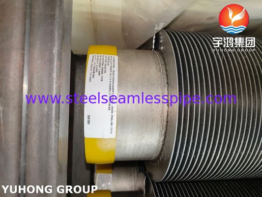 Tubo com Aletas Espiral Sólido de Alta Frequência Soldado HFW TP347H ASTM A376 Com 11Cr Usado em Petroquímica, Energia e Outras Indústrias