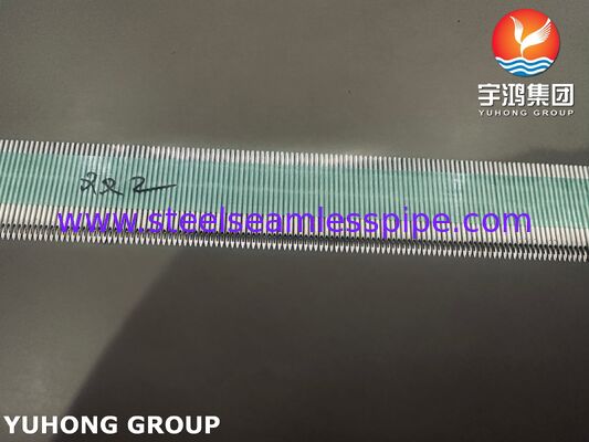 Cânula AVF de aço inoxidável médico de alto desempenho SUS304 para hemodiálise com gama de medição 15G-17G e superfície micro-polida