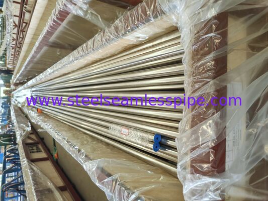 ASME SA213 TP304H Tubo de caldeira sem costura para superqueimador e requeimador