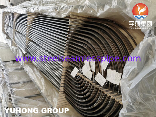 ASTM A213 TP316L Seamless U Bend Tube for Shell & Tube Heat Exchangers