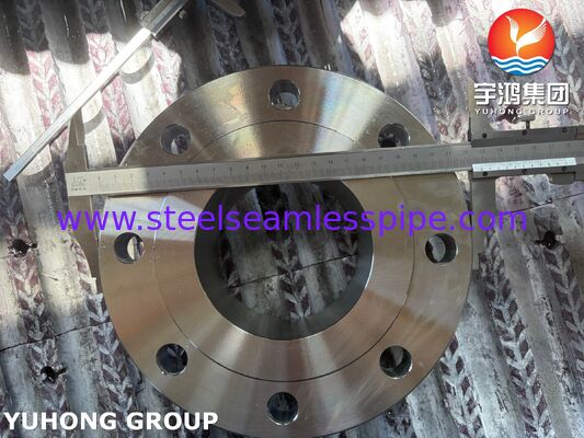 ASTM A182 F51 Flange UNS S31803 Flange duplex de pescoço de solda de aço forjado Flange WNRF