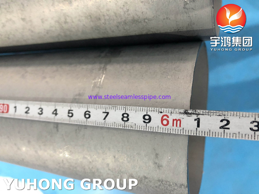ASTM A789 UNS S32205 Tubos duplex sem costura de aço inoxidável para dessalinização de água do mar