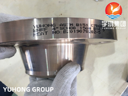 ASTM B151 C70600 Liga de cobre-níquel, flange de pescoço de solda com face elevada ASME B16.5