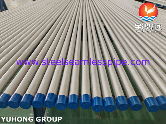 Tubo de Aço Inoxidável Sem Costura ASTM A213 TP316L 1.4404 Para Tratamento de Água, ET / HT