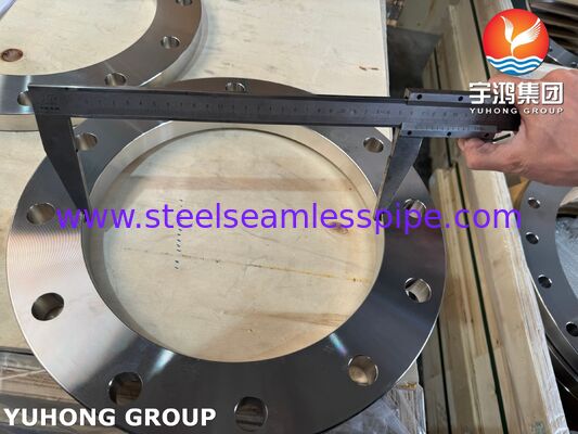 EN 1092-1 Tipo 01 Flange de chapa com face plana ASTM A182 F316L / 1.4404 Flange de aço inoxidável